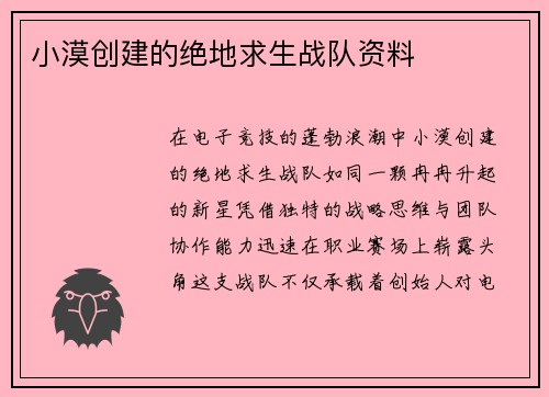 小漠创建的绝地求生战队资料