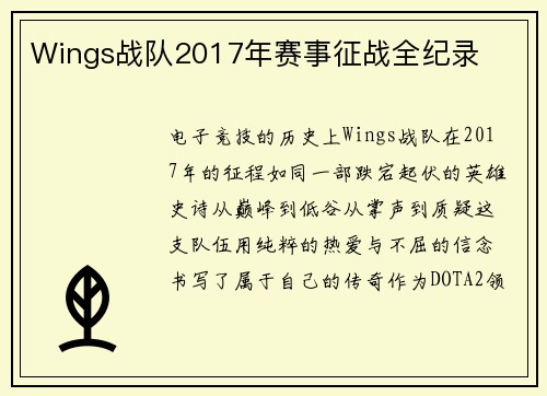 Wings战队2017年赛事征战全纪录